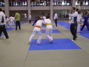 judosumoIX