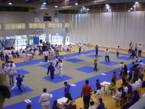 IX judo sumo