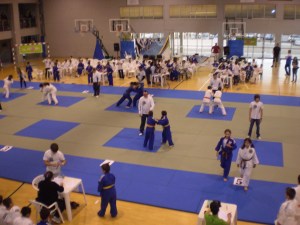 IXjudosumo
