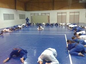 1erajornadajudoligajudolin