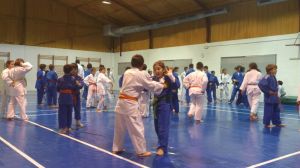 1erajornadajudoligajudolin