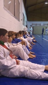 1erajornadajudoligajudolin