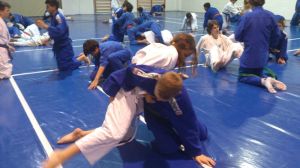 1erajornadajudoligajudolin