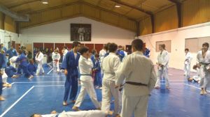 1erajornadajudoligajudolin