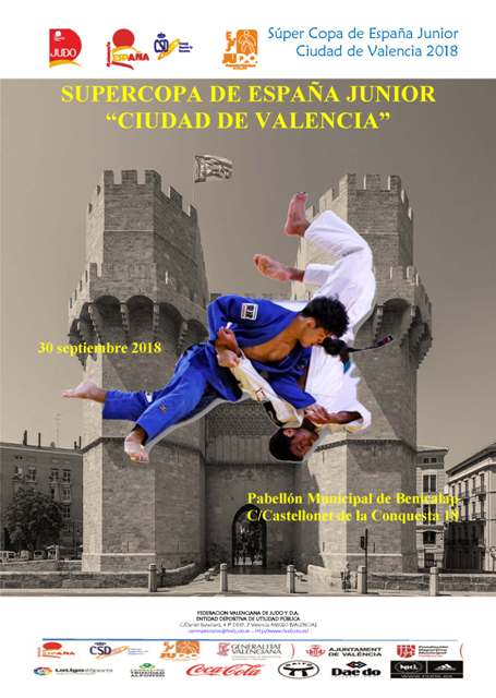 cartel copa españa valencia
