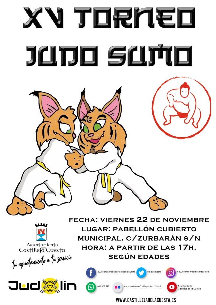 CARTEL JUDOSUMO 2019